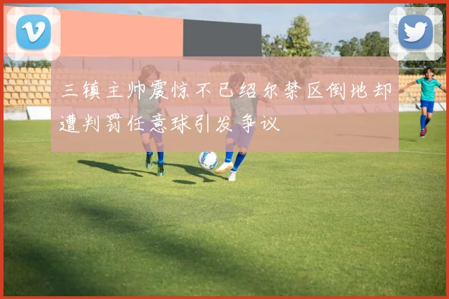 三镇主帅震惊不已绍尔禁区倒地却遭判罚任意球引发争议